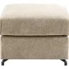 Hocker Licato
