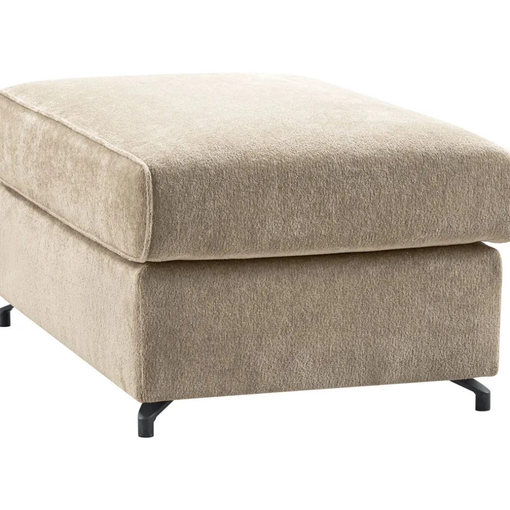 Hocker Licato