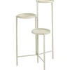 Plantentafel Liscia